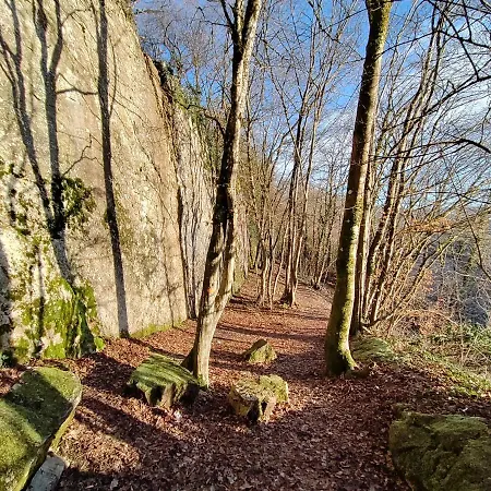 Cochlea 住宿加早餐酒店 3*