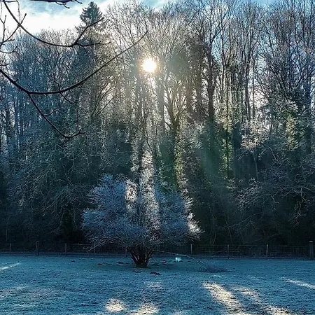Cochlea 住宿加早餐酒店